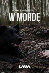 W mordę